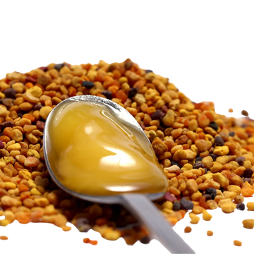 لماذا ننصحك بهذا المكمل الغذائي  العكبر كخيارك الأول