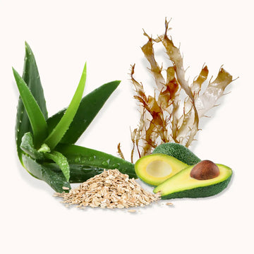 Active ingredients