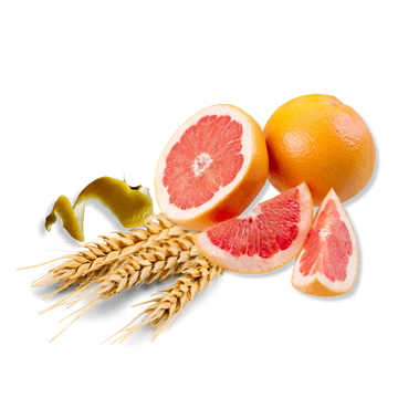 Active ingredients
