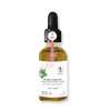Getto & Ashitaba Serum Youth Concentrate - Pure n' Bio