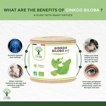 What You Can Expect From Organic Ginkgo Biloba Supplement