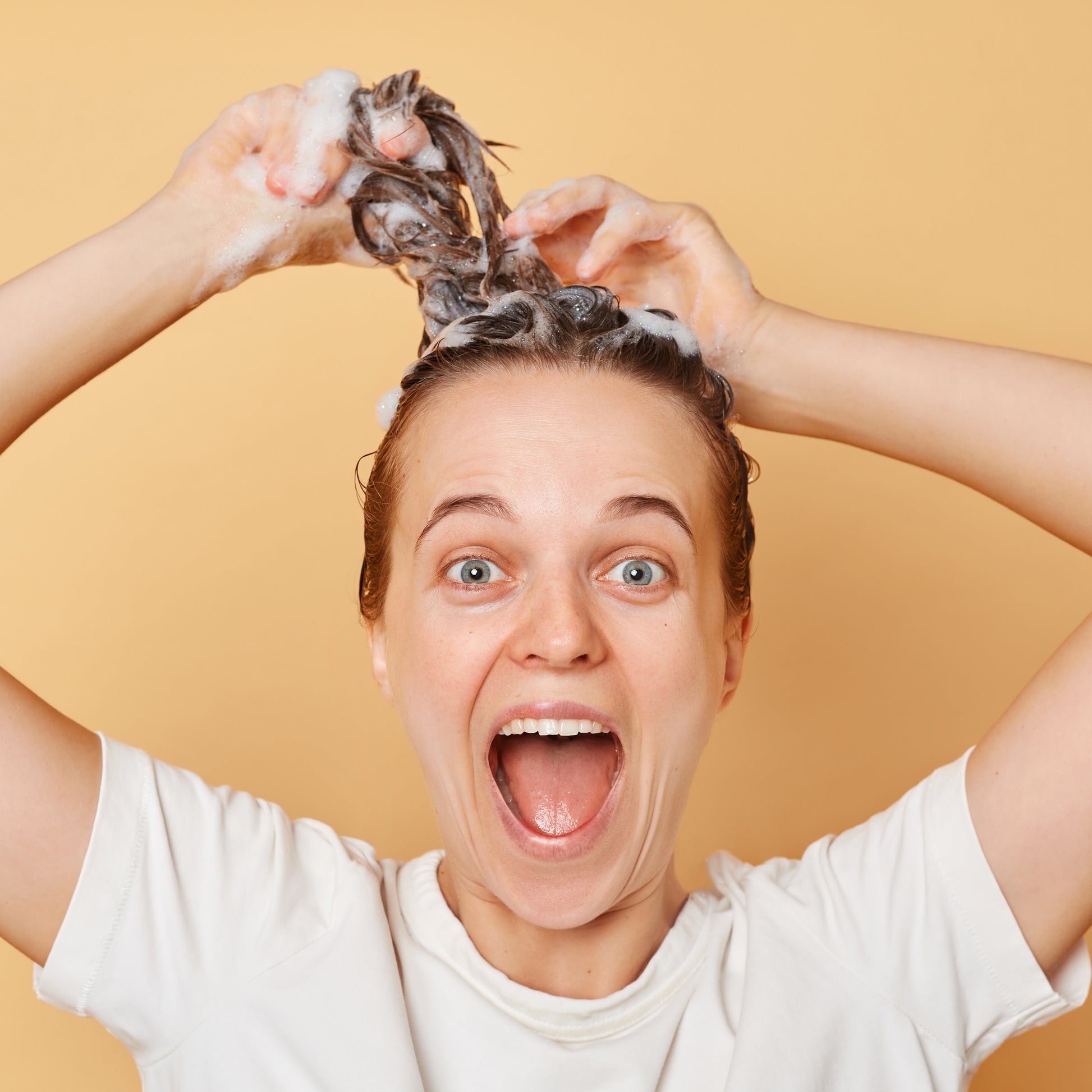 Organic Solid Red Clay Shampoo for Dry Hair - Pure n' Bio