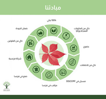 مكمل الكرمة الحمراء العضوي – نقي 100٪