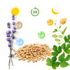 Capital Femininity Food Supplement For Menopause - Pure n' Bio