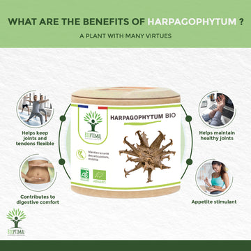 What To Expect From This Food Supplement