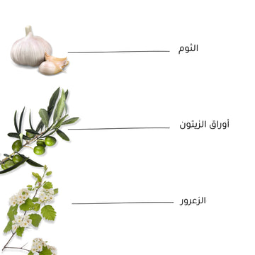 عناصر عضوية نشطة