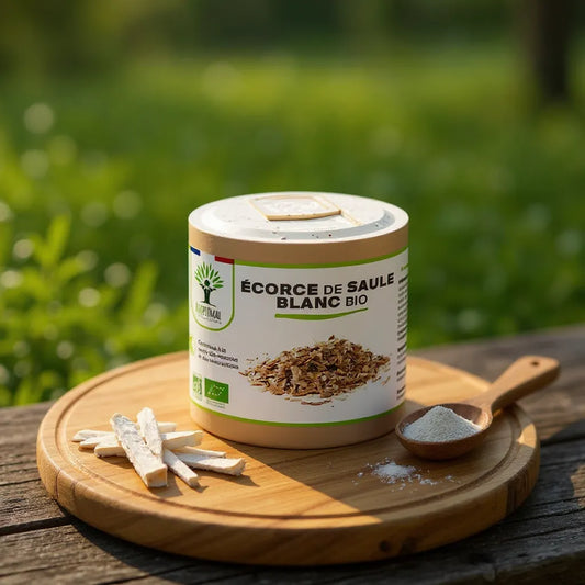 Organic White Willow Bark – Supports Joint Flexibility & Comfort | Made in France