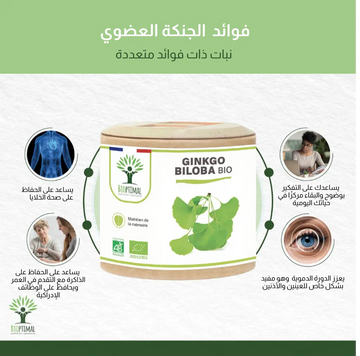ما التأثير المتوقع من مكمل جنكة بيلوبا العضوي