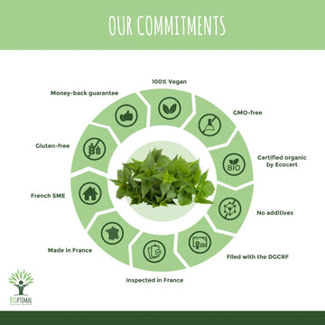 Why Choose Our Organic Nettle Supplement?