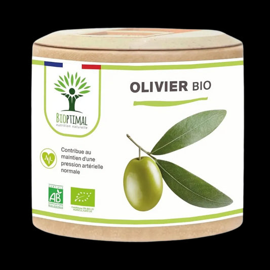 فوائد أوراق الزيتون