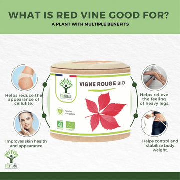 What To Expect From This Food Supplement