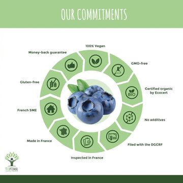 Why Choose Organic Blueberry 