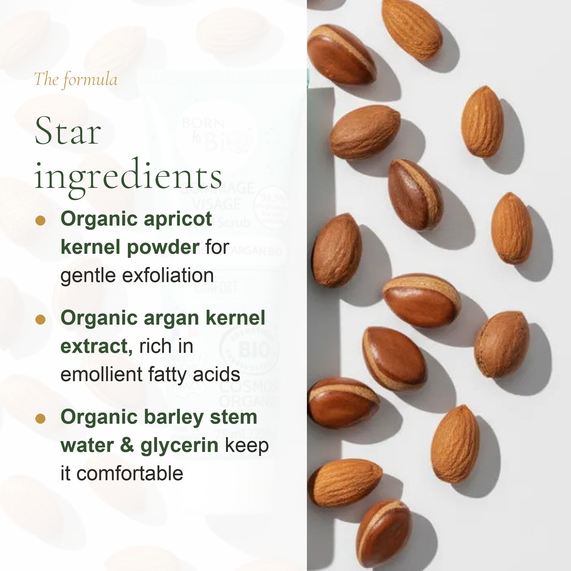 Sweet Almond Argan Face Scrub – slide 3