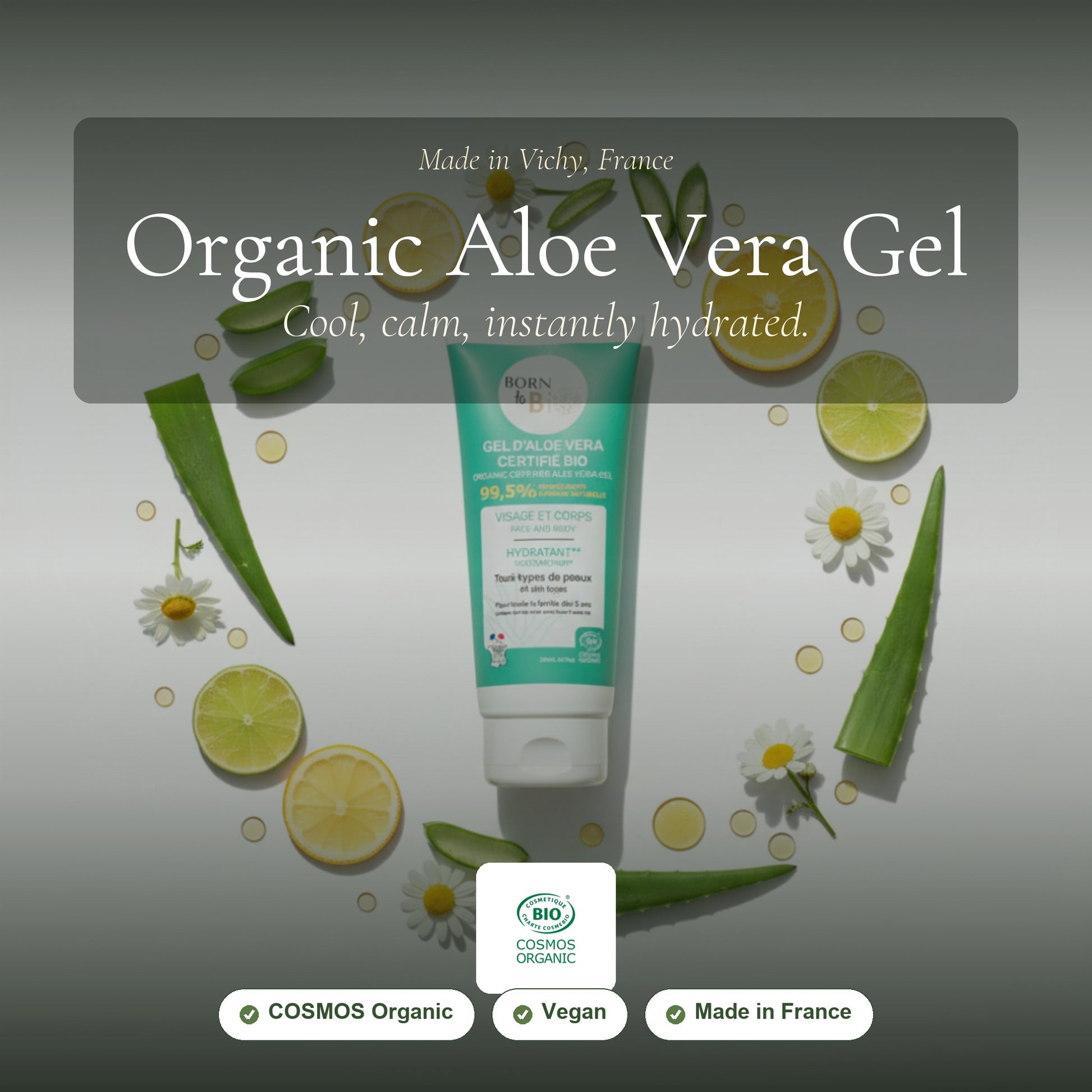 Organic Aloe Vera Gel – slide 1