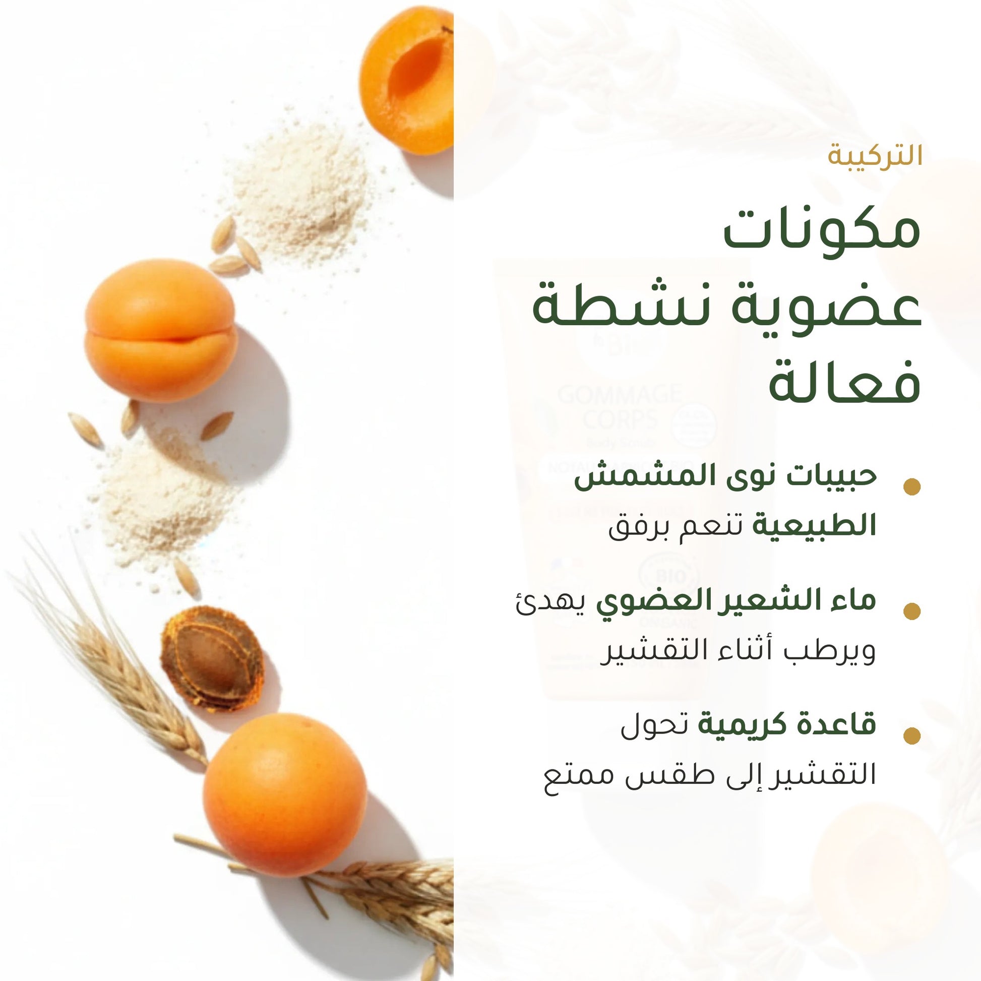 مقشّر الجسم بنواة المشمش – مُعتمد عضويًا | بورن تو بيو فيشي – شريحة 3