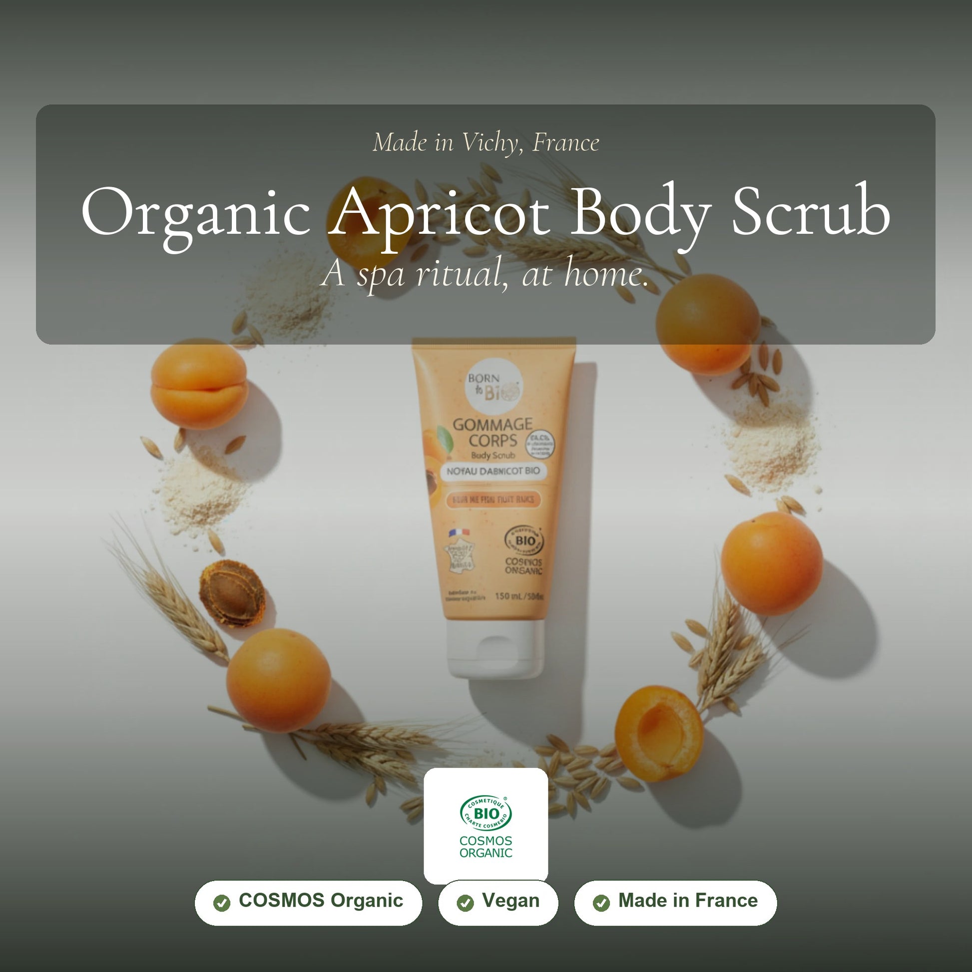 Organic Apricot Kernel Body Scrub – slide 1