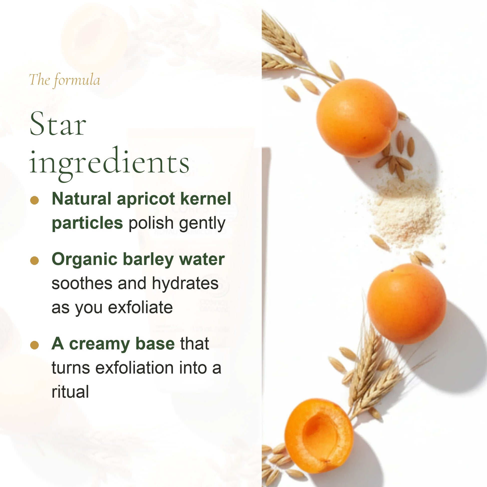Organic Apricot Kernel Body Scrub – slide 3