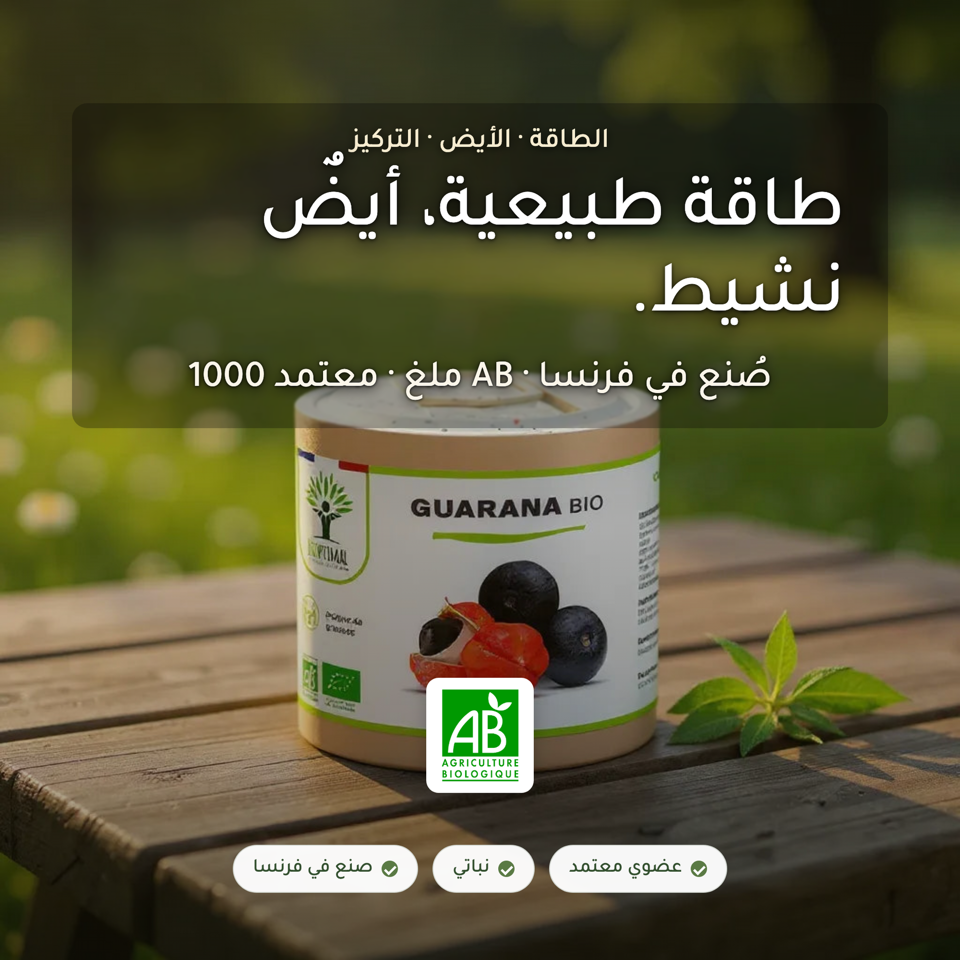 مكمّل الغوارانا العضوي – طاقة طبيعية وأيض نشيط – معتمد AB صُنع في فرنسا | بيور آن بيو
