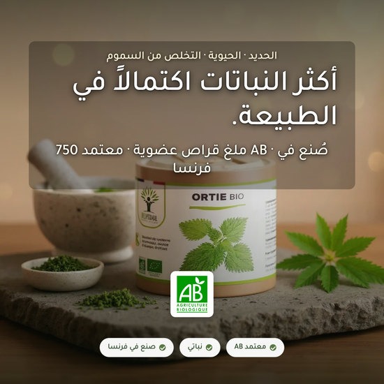 مكمّل القراص العضوي الحديد والحيوية وإزالة السموم – 750 ملغ أوراق قراص Urtica Dioica – معتمد AB صُنع في فرنسا | بيور آن بيو