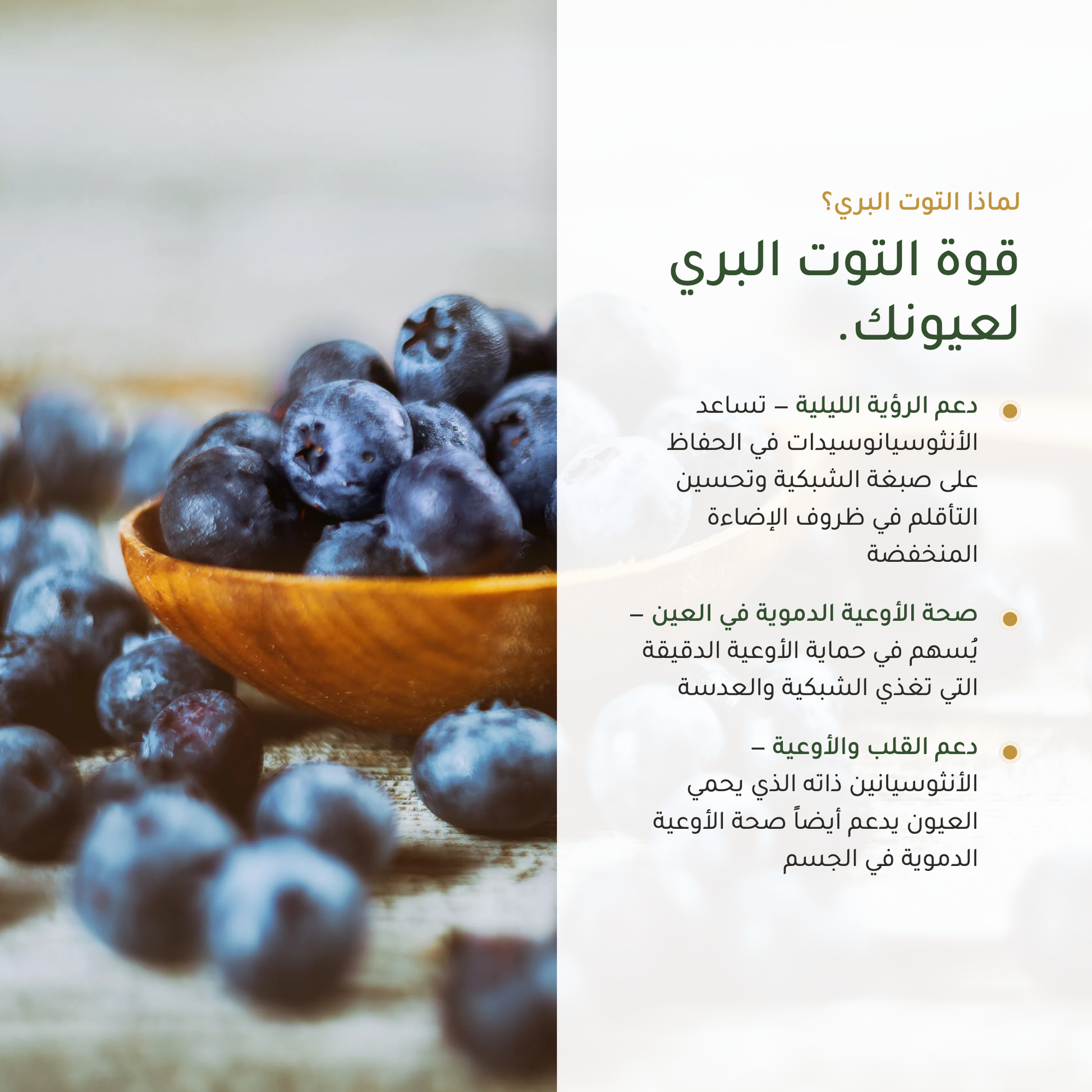 فوائد التوت البري العضوي – دعم الرؤية الليلية وصحة الشبكية والأوعية الدموية في العين – معتمد AB عضوي | بيور آن بيو