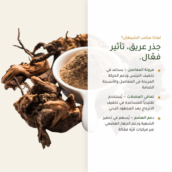 مخلب الشيطان لمرونة المفاصل وتعافي العضلات – هارباغوفيتوم عضوي | بيور آن بيو