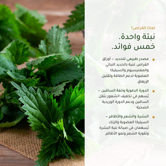 فوائد القراص العضوي الحديد الدورة الدموية البشرة الشعر الأظافر – حديد نباتي وسيليكا ومغنيسيوم – مكمّل عضوي | بيور آن بيو