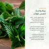 فوائد القراص العضوي الحديد الدورة الدموية البشرة الشعر الأظافر – حديد نباتي وسيليكا ومغنيسيوم – مكمّل عضوي | بيور آن بيو