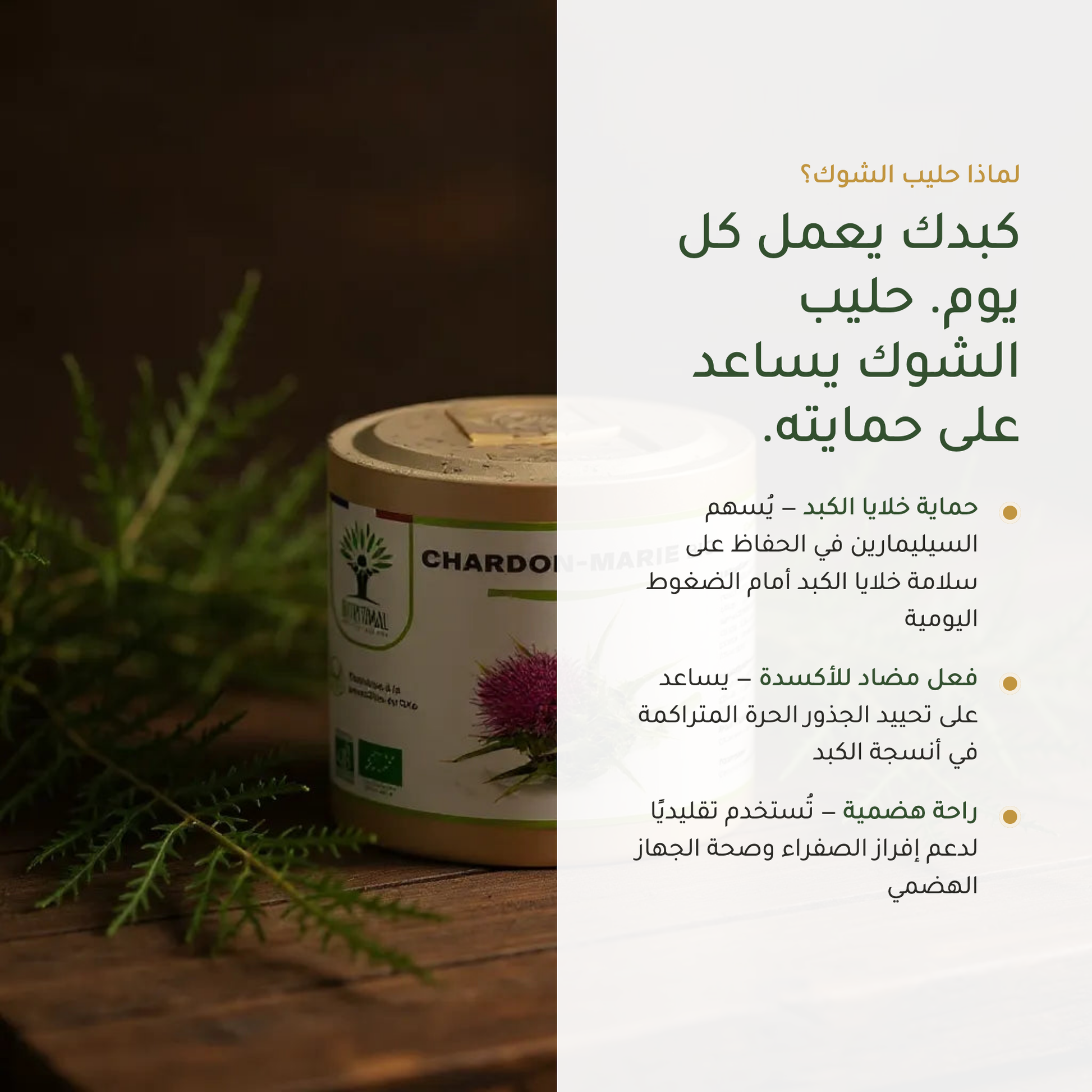 حليب الشوك لحماية الكبد – السيليمارين فلافونويد نشط – مكمّل غذائي عضوي | بيور آن بيو