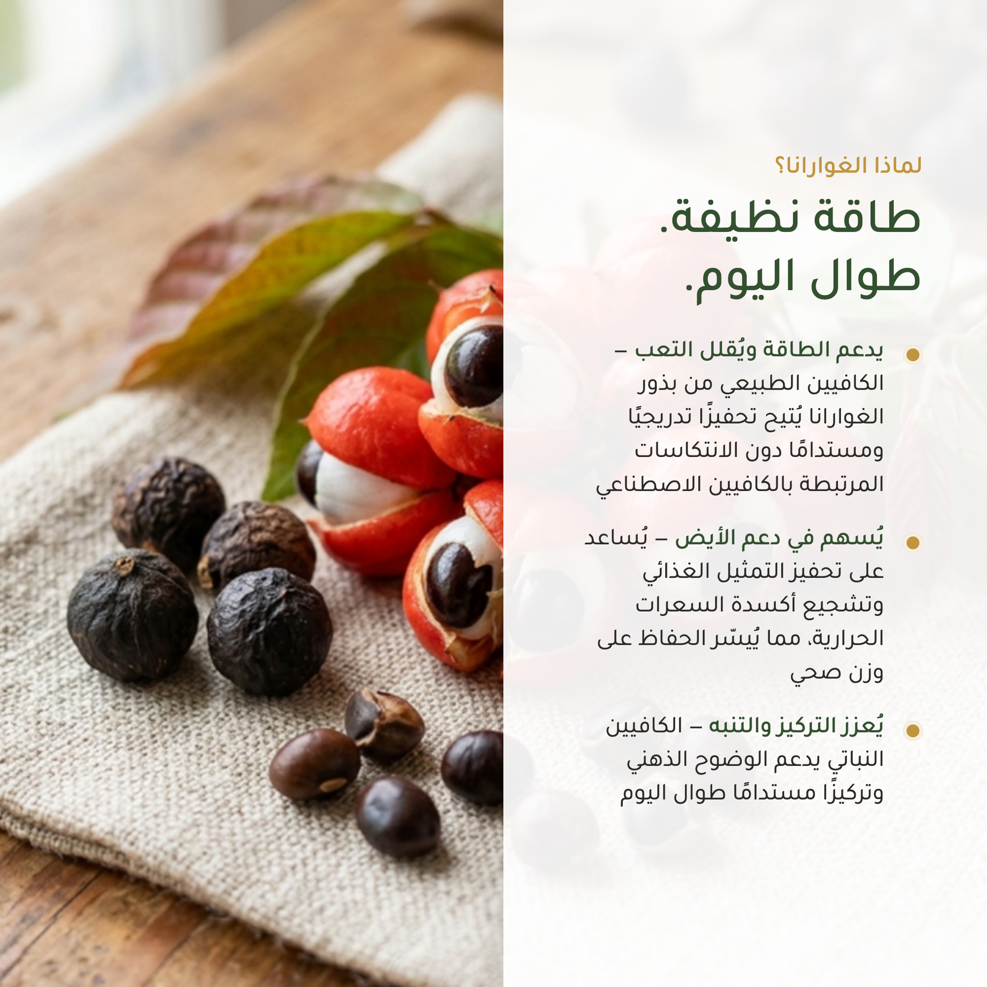 غوارانا لدعم الطاقة – كافيين نباتي طبيعي يُقلل التعب ويُعزز التركيز – مكمّل عضوي | بيور آن بيو