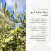فوائد ورق الزيتون الدورة الدموية وضغط الدم وراحة هضمية وتنفسية – فيتوثيرابي متوسطي – مكمّل عضوي | بيور آن بيو