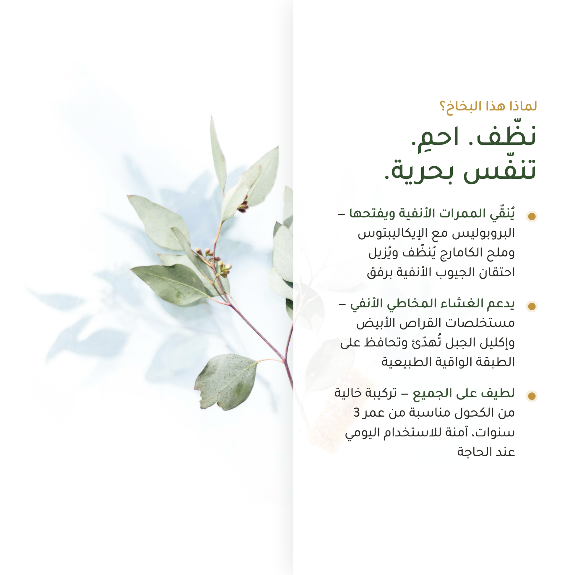 فوائد البخاخ الأنفي بالبروبوليس – يُنقّي ويفتح الممرات الأنفية – إيكاليبتوس عضوي وملح الكامارج | بيور آن بيو