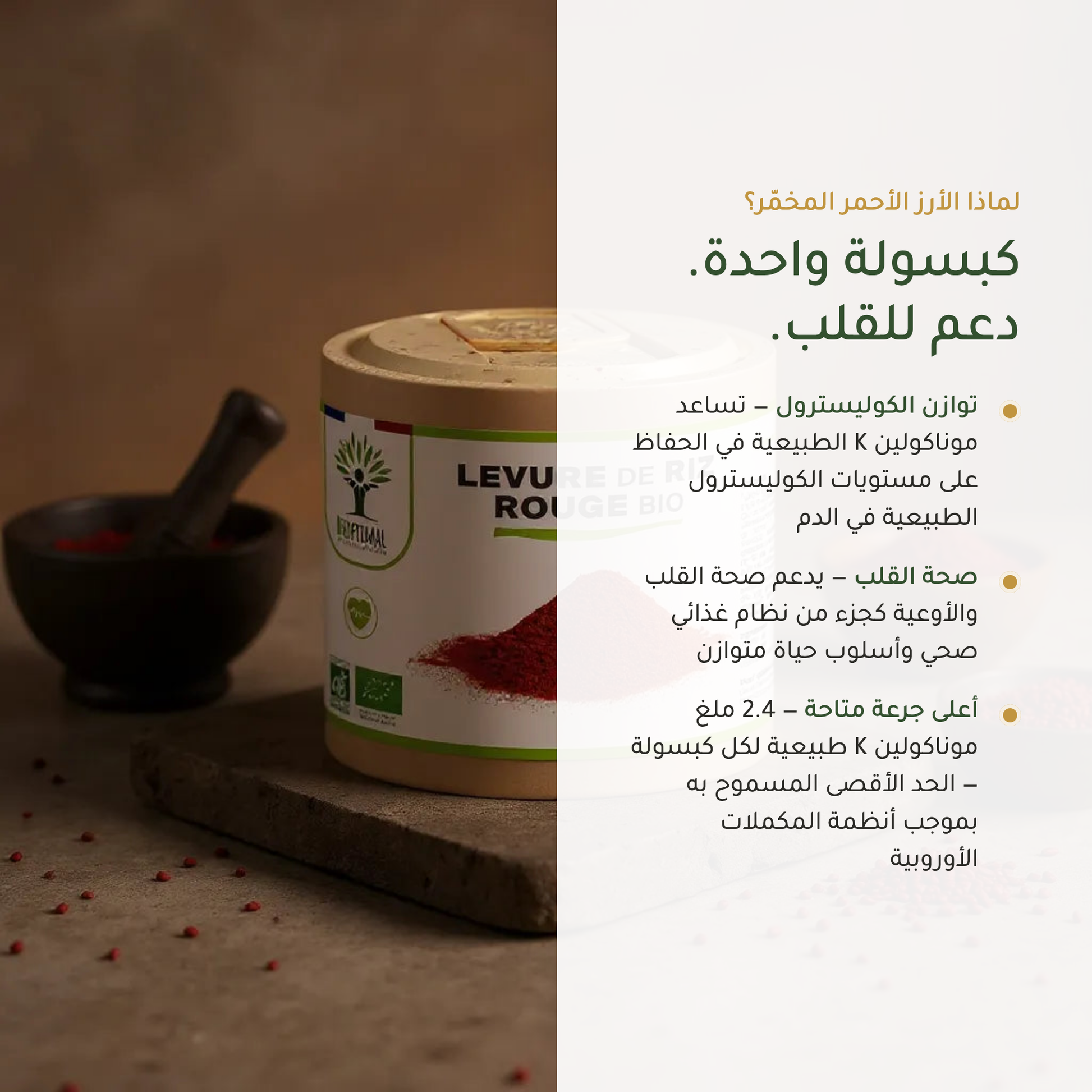 الأرز الأحمر المخمّر لتوازن الكوليسترول – موناكولين K لدعم القلب – معتمد AB عضوي | بيور آن بيو