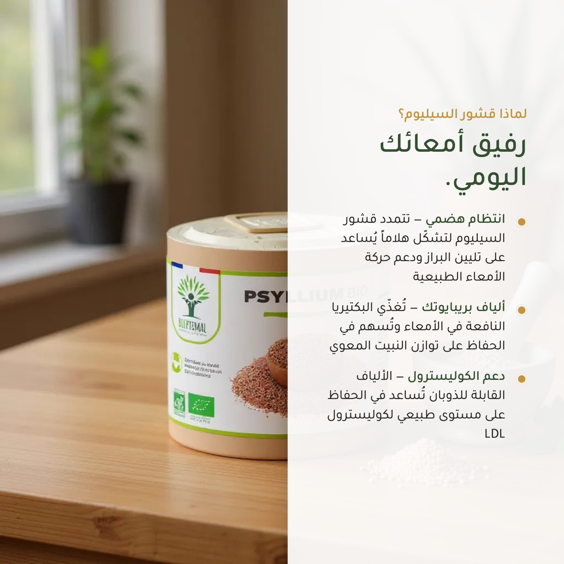 فوائد قشور السيليوم صحة الأمعاء والانتظام الهضمي والكوليسترول – ألياف قابلة للذوبان Plantago Ovata – مكمّل عضوي | بيور آن بيو