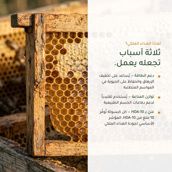 فوائد مكمّل الغذاء الملكي – يُخفف الإرهاق ويدعم المناعة – غني بـ 10-HDA كبسولات عضوية | بيور آن بيو