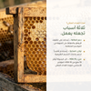 فوائد مكمّل الغذاء الملكي – يُخفف الإرهاق ويدعم المناعة – غني بـ 10-HDA كبسولات عضوية | بيور آن بيو