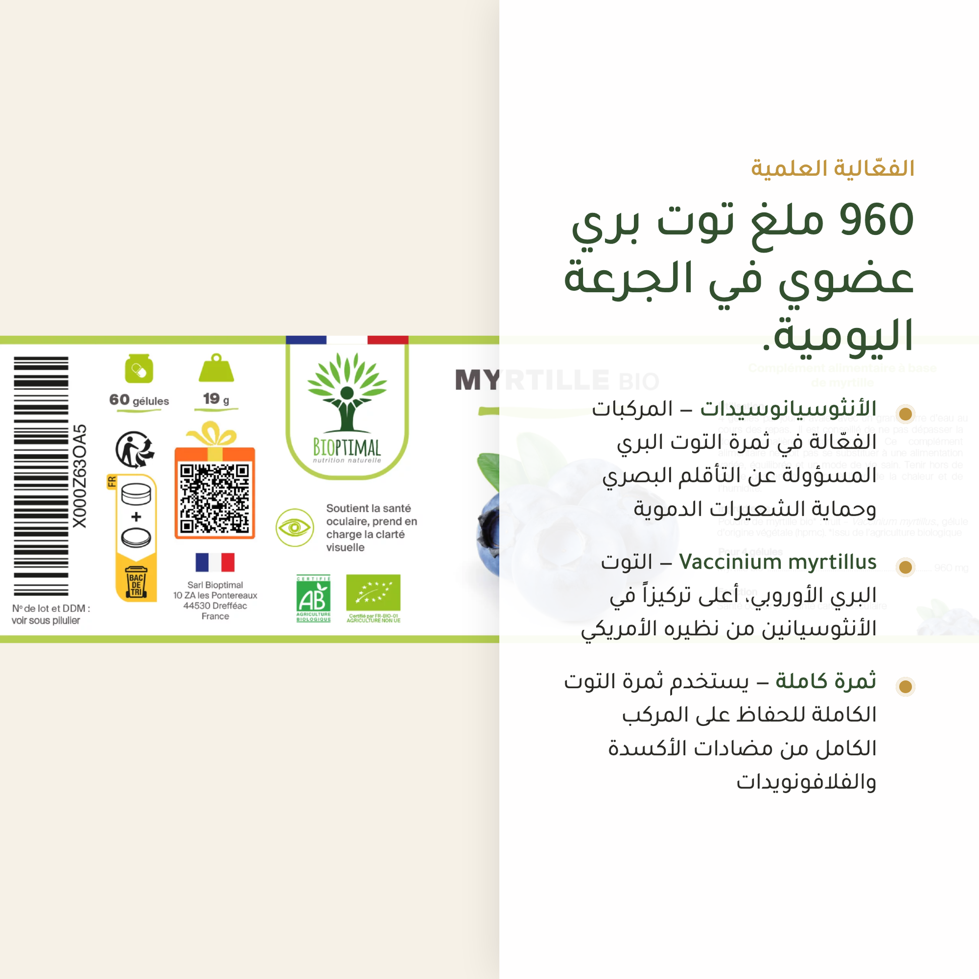 توت بري عضوي 960 ملغ أنثوسيانوسيدات Vaccinium myrtillus ثمرة كاملة – مكمّل غذائي معتمد AB | بيور آن بيو