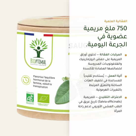 750 ملغ مريمية عضوية حمض روزمارينيك وفلافونويدات – راحة خلال سن اليأس – معتمد AB | بيور آن بيو