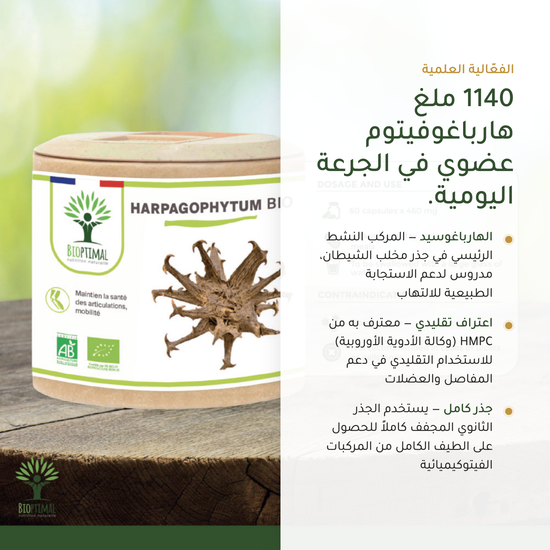 1140 ملغ هارباغوفيتوم عضوي يومياً – الهارباغوسيد مركب نشط – معتمد AB | بيور آن بيو