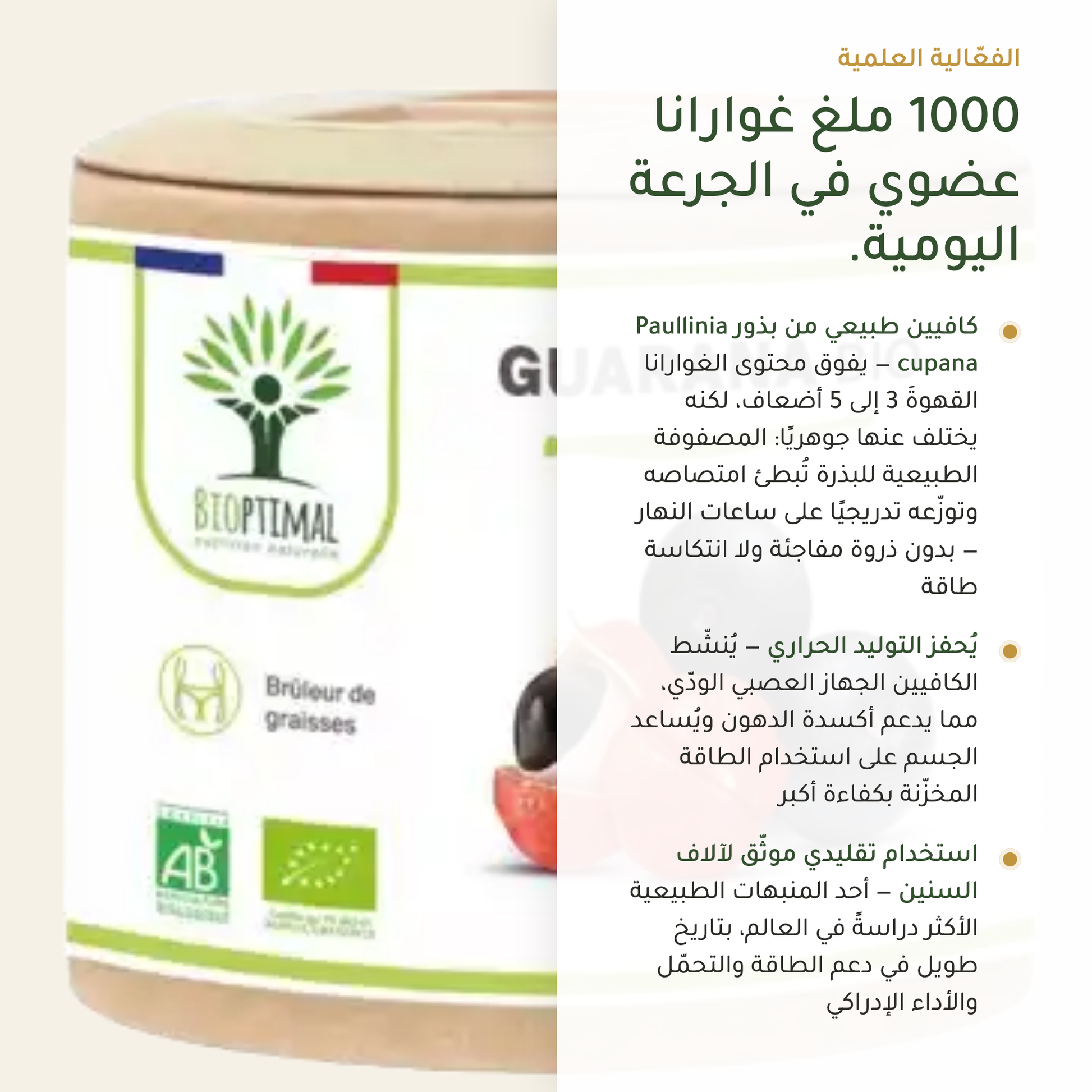 1000 ملغ غوارانا عضوي يومياً – كافيين Paullinia cupana الطبيعي يُحفز الأيض – معتمد AB | بيور آن بيو
