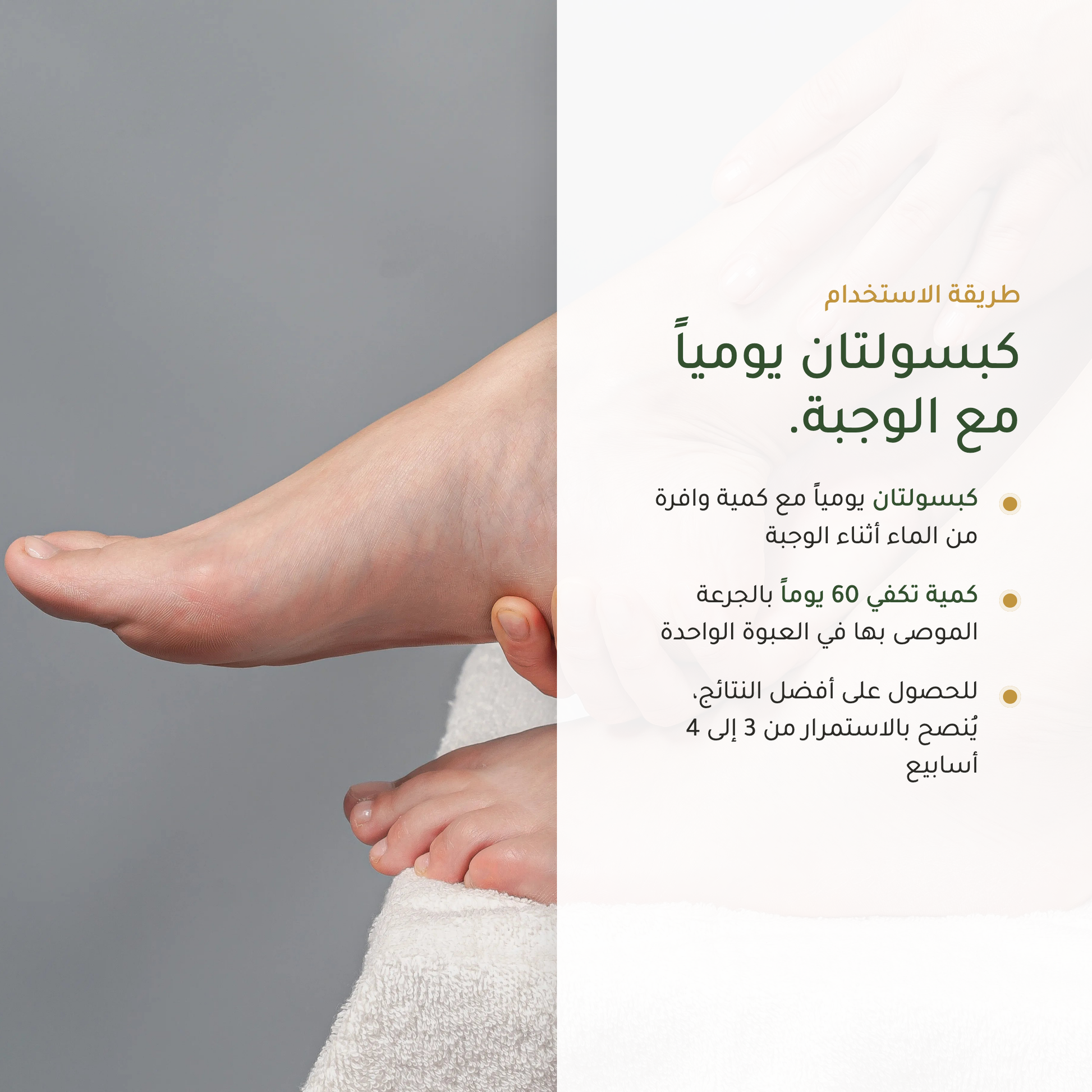 طريقة استخدام مكمّل ورق العنب الأحمر – كبسولتان يومياً كمية 60 يوماً | بيور آن بيو