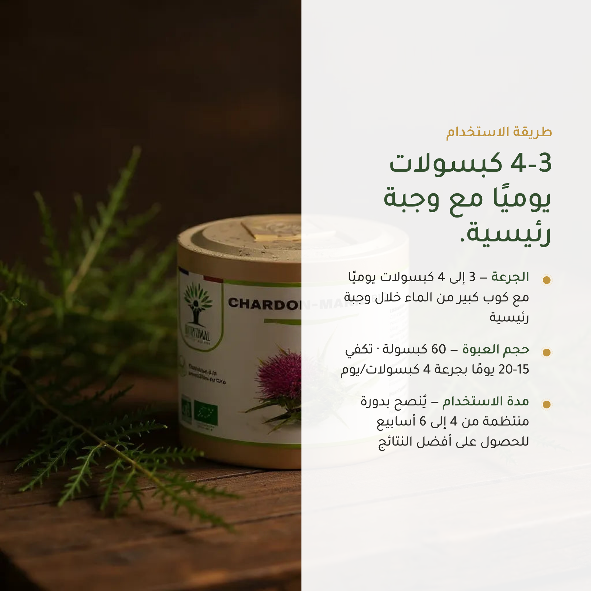 طريقة استخدام حليب الشوك – 3 إلى 4 كبسولات يومياً مع وجبة – مكمّل الكبد العضوي | بيور آن بيو
