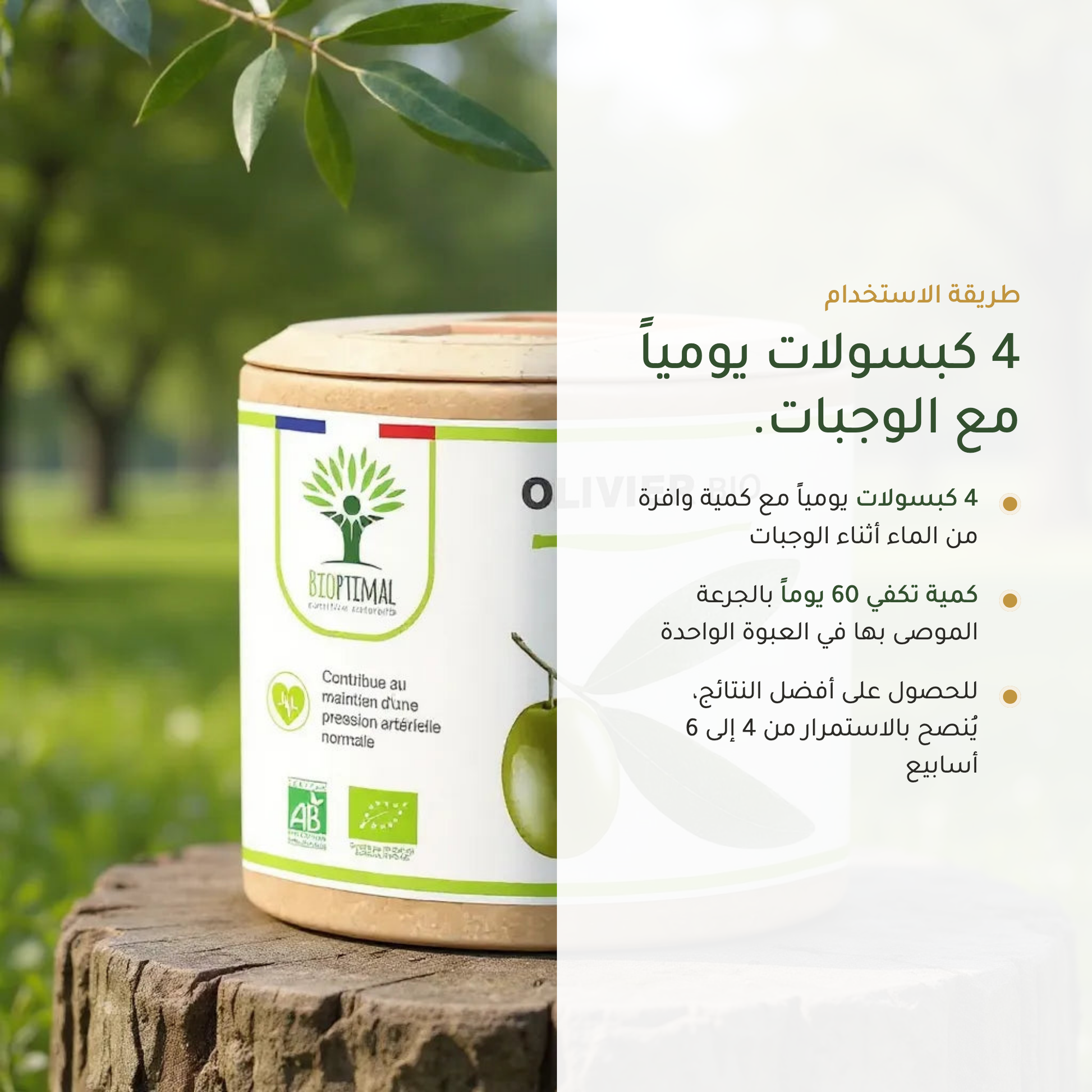 طريقة استخدام مكمّل ورق الزيتون 4 كبسولات يومياً مع الوجبات – كمية تكفي 60 يوماً – مكمّل دورة دموية عضوي فرنسي | بيور آن بيو