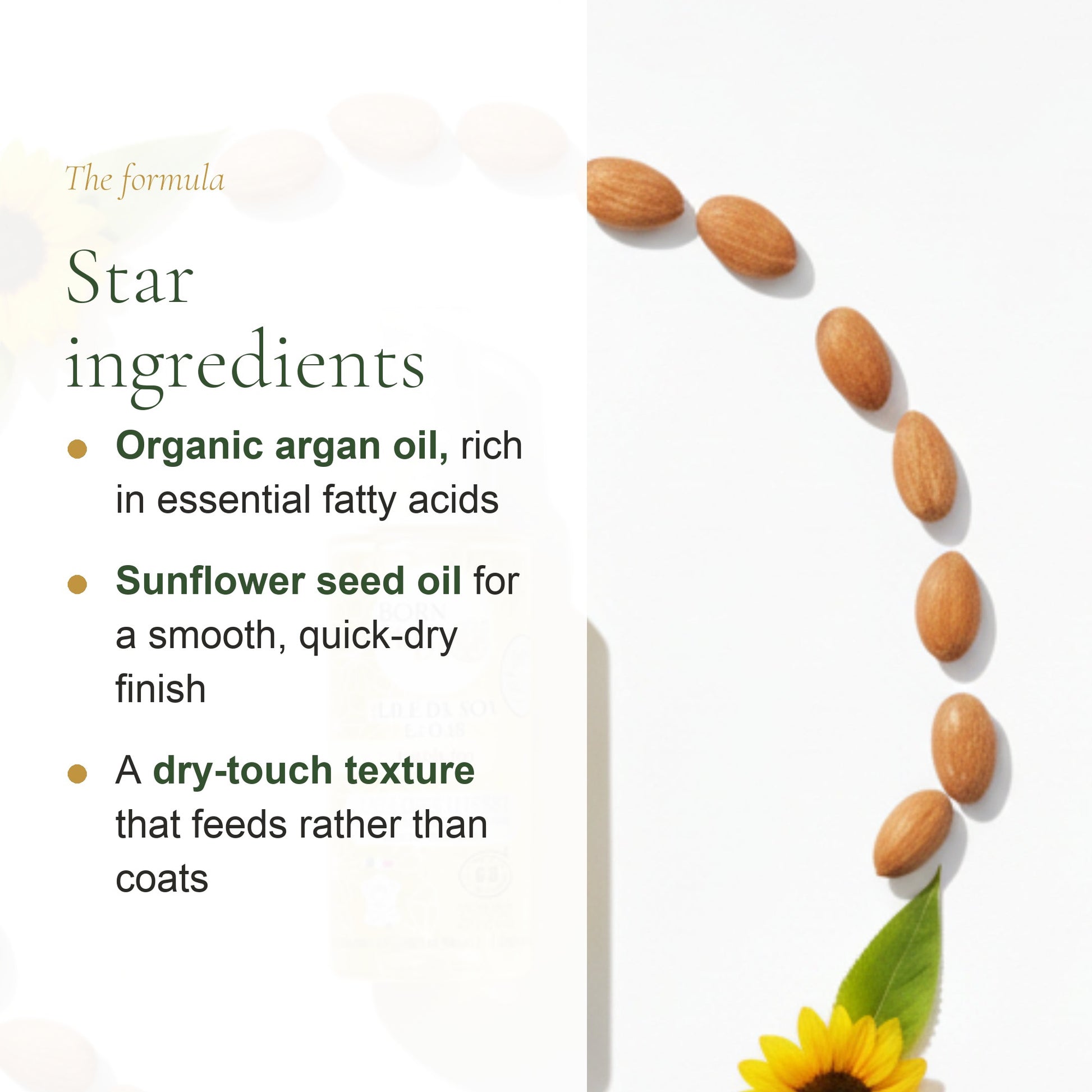 Organic Argan Care Oil – slide 3