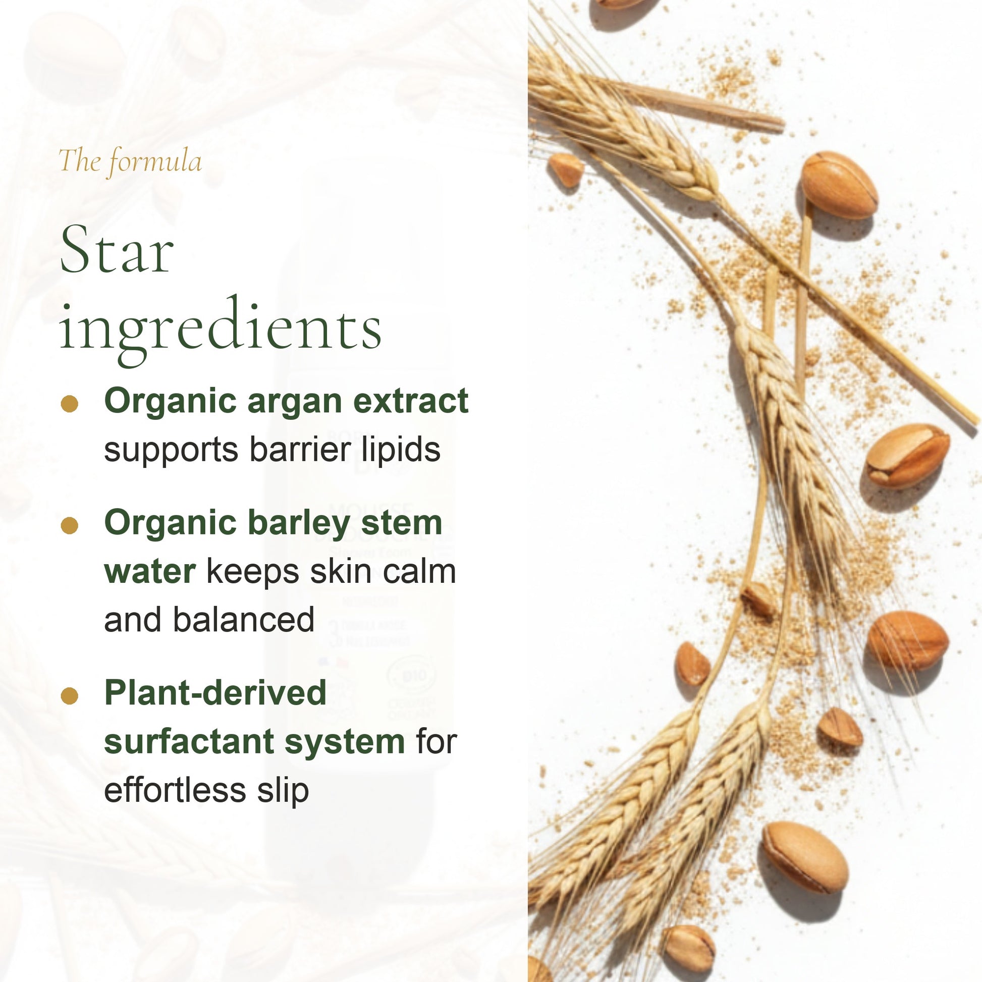 Organic Argan Shower Foam – slide 3