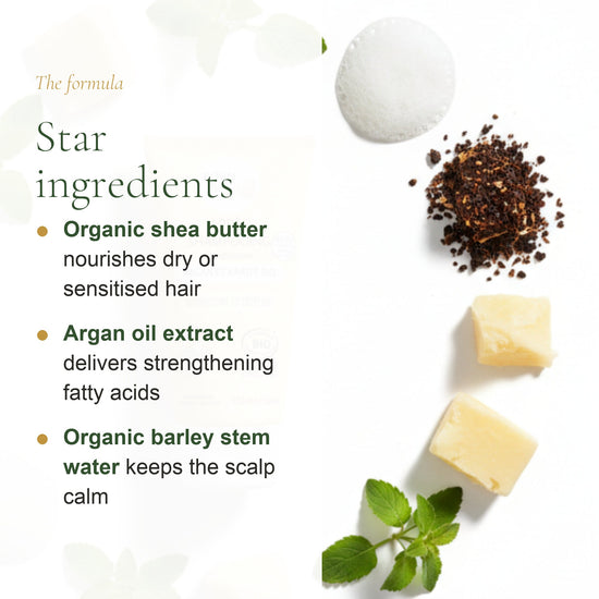 Argan & Shea Conditioner – slide 3