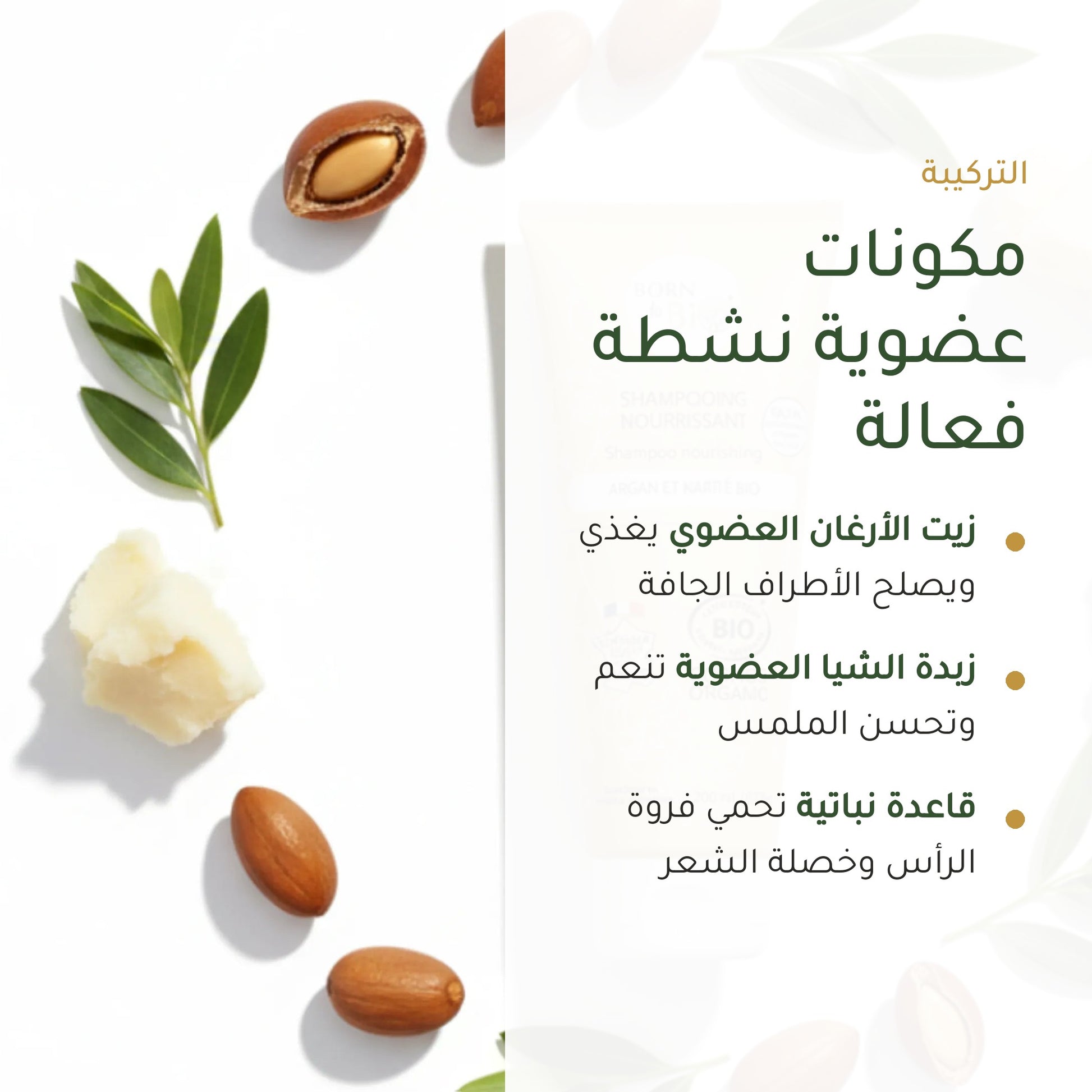 شامبو مغذٍ بالأرغان وزبدة الشيا – مُعتمد عضويًا | بورن تو بيو فيشي – شريحة 3