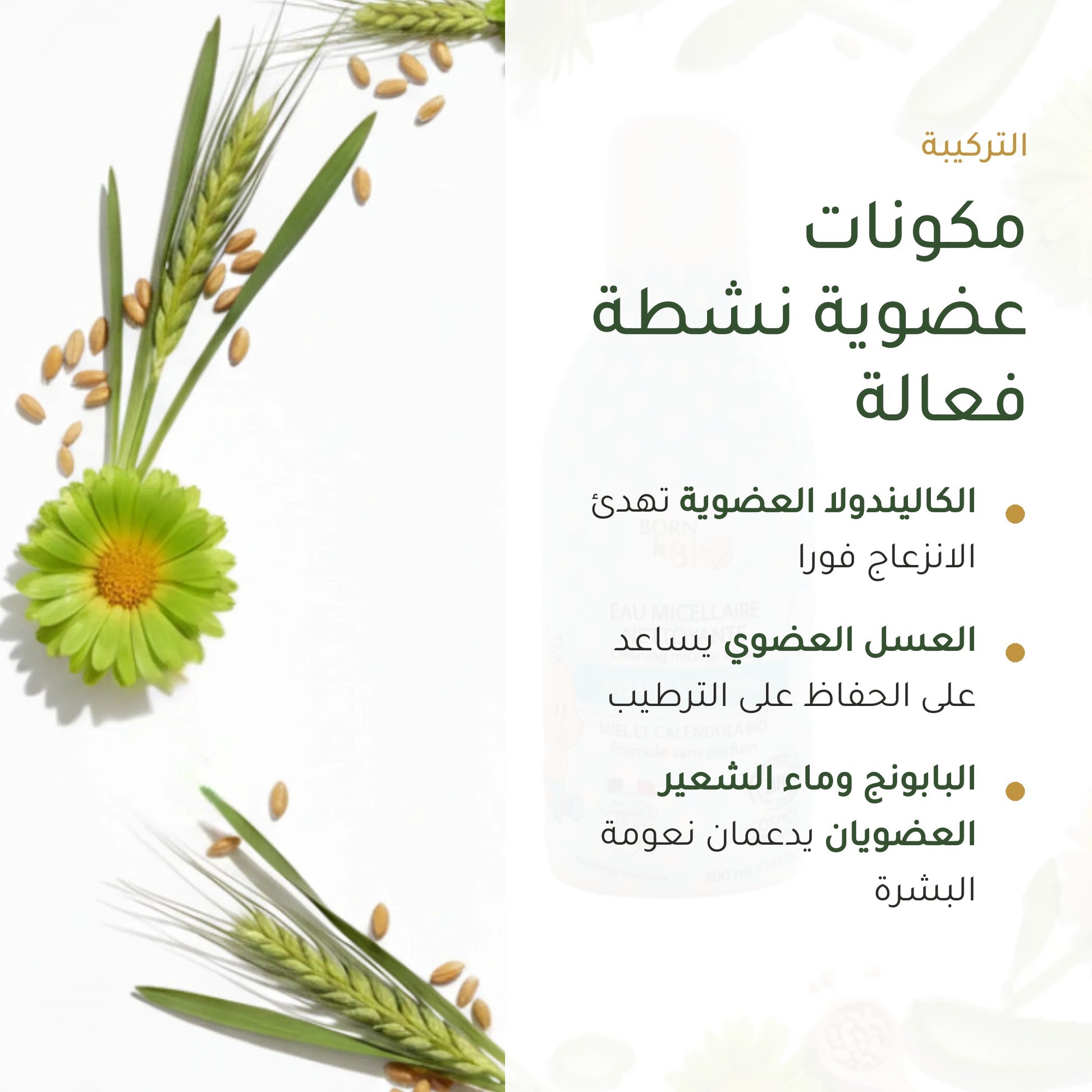 ماء ميسيلار منظّف عضوي للأطفال – مُعتمد عضويًا | بورن تو بيو فيشي – شريحة 3