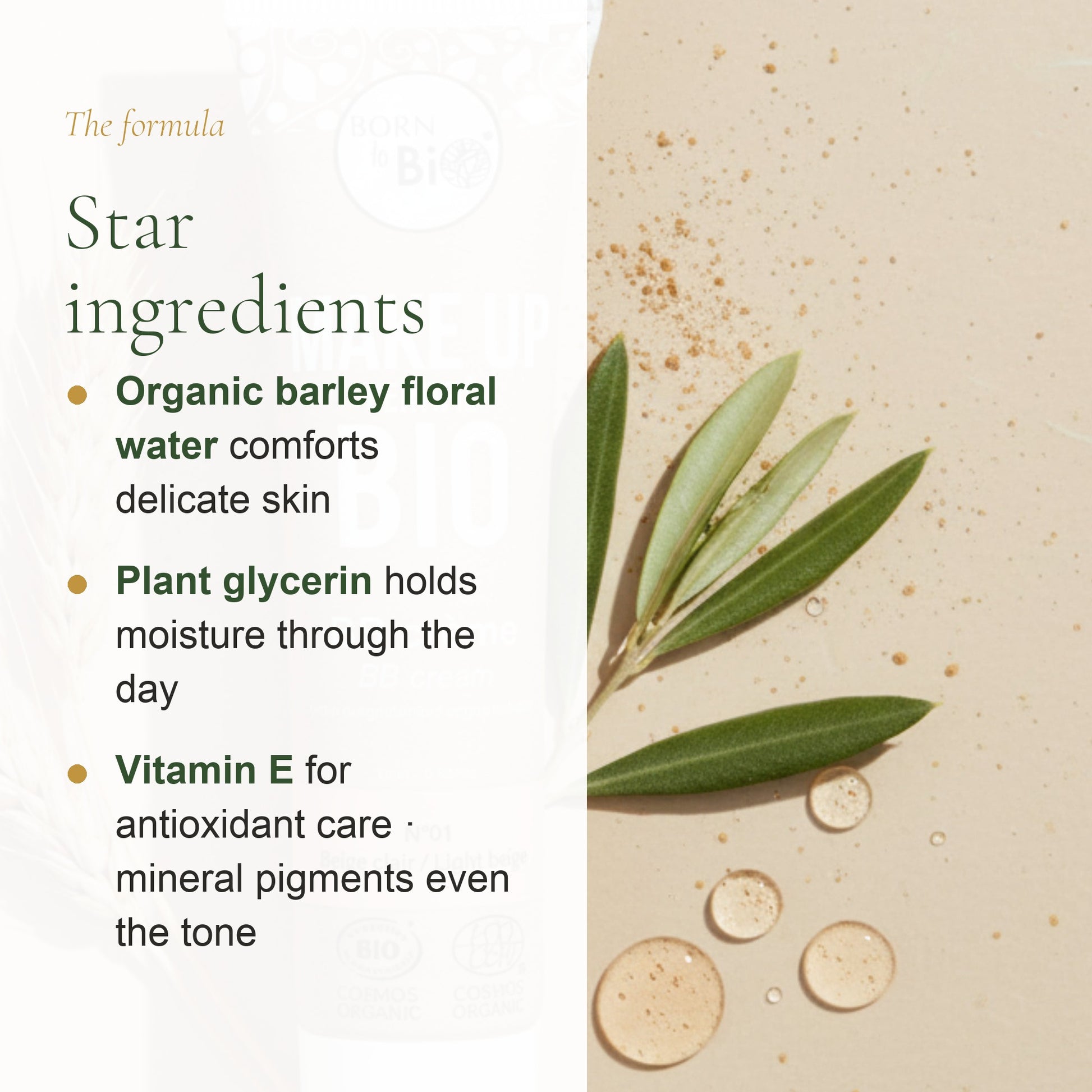 Organic BB Cream – French Formula – slide 3