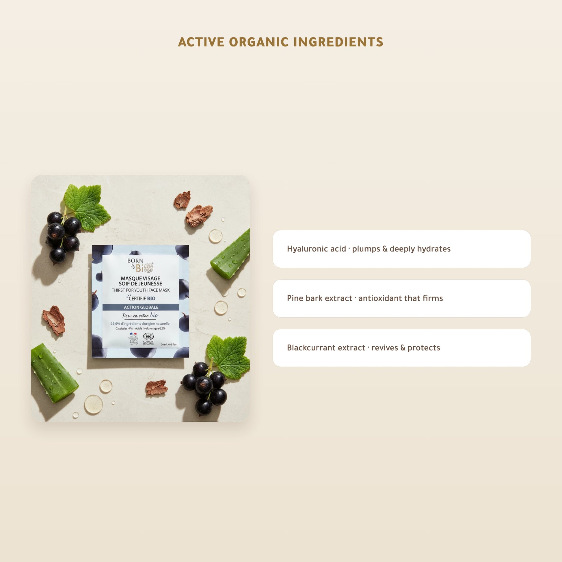 [EN] Organic Anti-Aging Cotton Face Mask – Made in Vichy, France | Born to Bio Vichy – slide 3