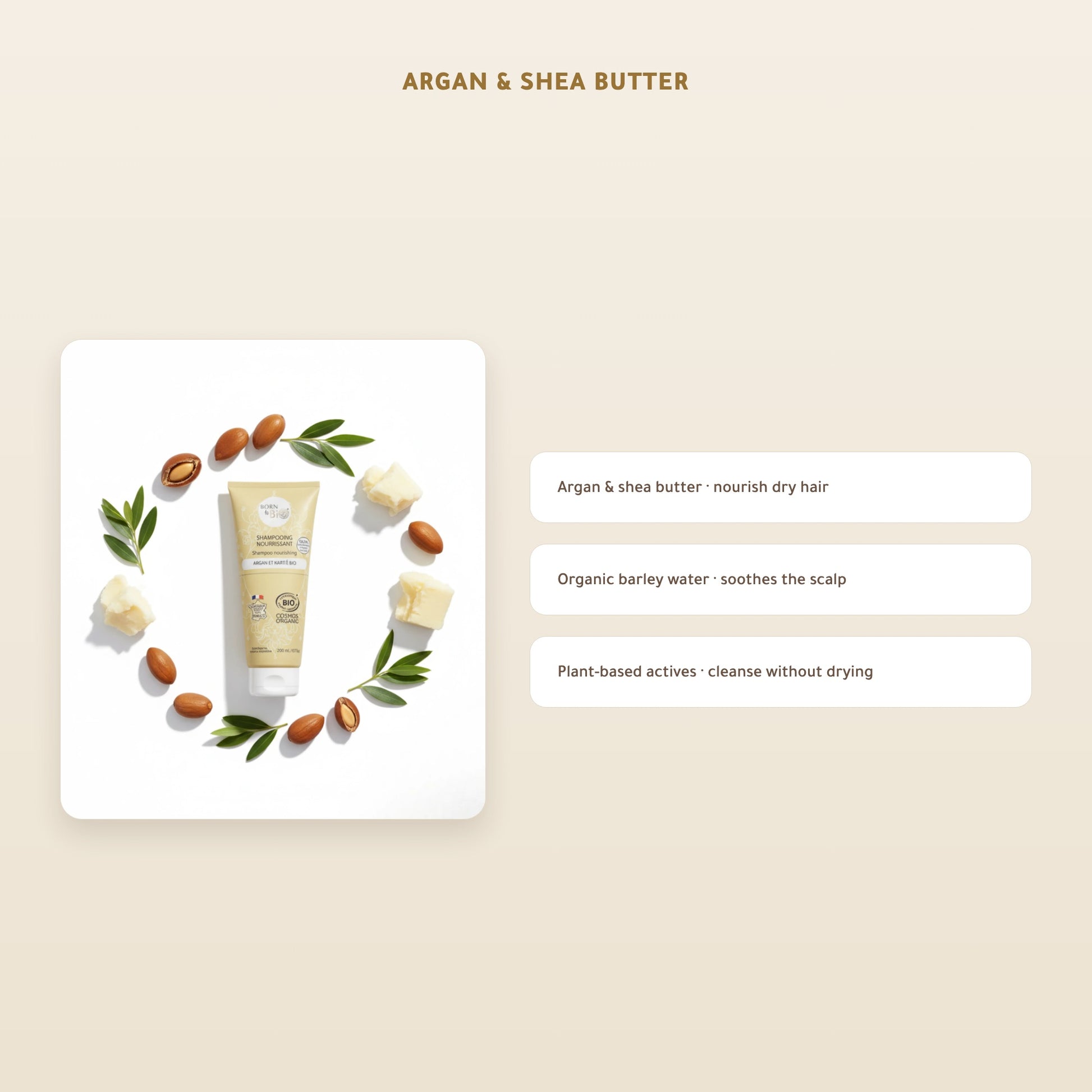 Organic Nourishing Argan & Shea Shampoo for Dry Hair – Certified Organic | Born to Bio Vichy – slide 3